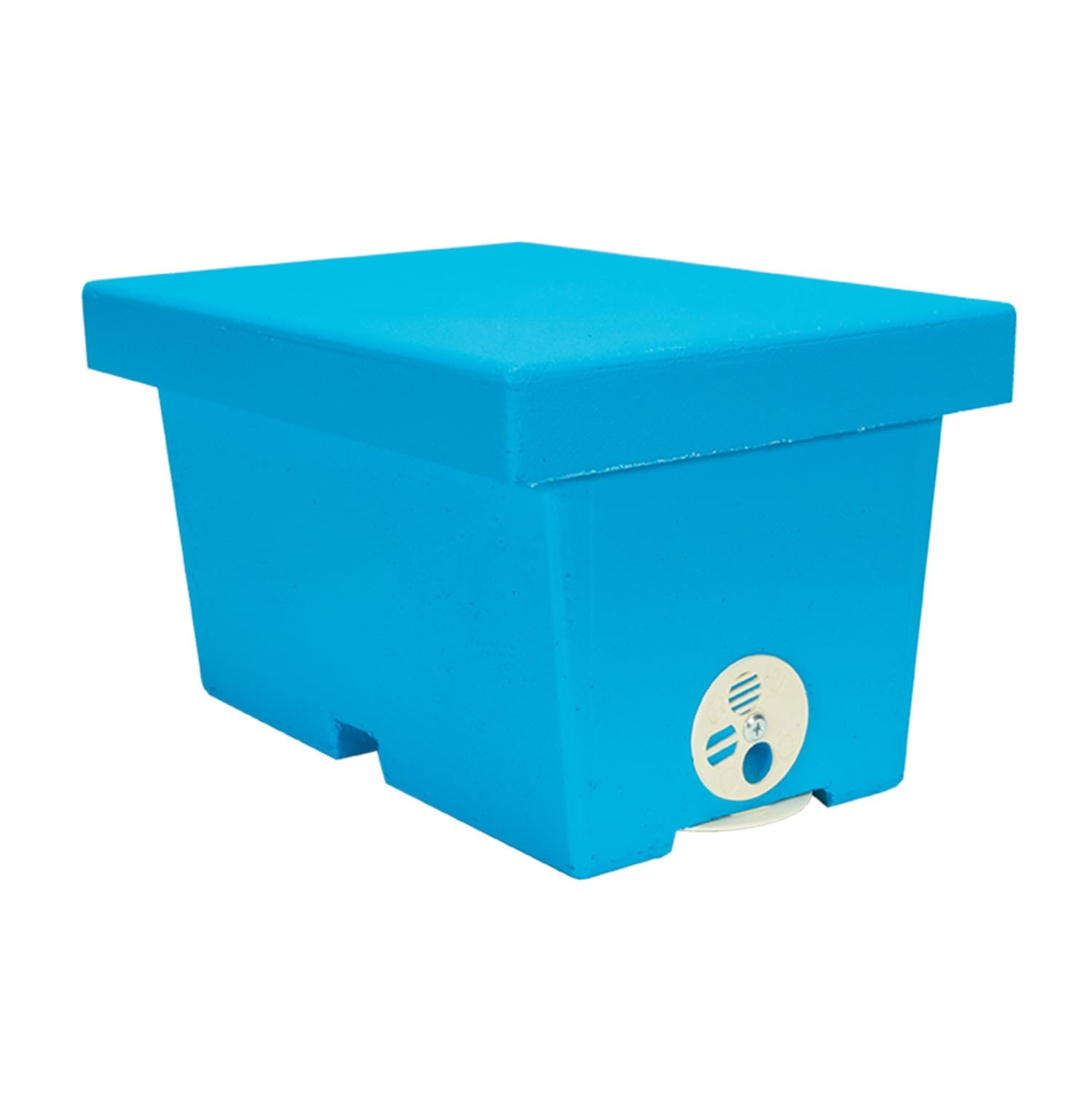 LYSON Mini ruche d'abeilles pour une famille en polystyrène peint - Règle de mariage - Accessoires d'apiculture