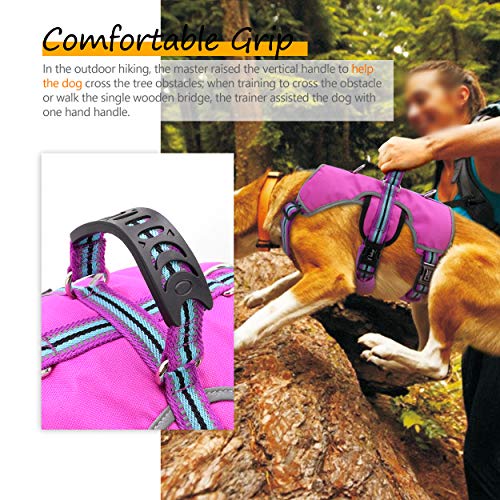 Didog Escape Proof Dogs Harness,Soft Breathable Padded & Reflective,Adjustable No Pull Dog Harness With Lift Handle & Double Leash Clips For Medium Large Dogs Walking Hiking Training,Purple,M #TOP1