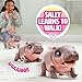 FurReal Sally The Silly Hippo, 9 Inch Interactive Plush, Kids Toys for Ages 4 Up by Just Play