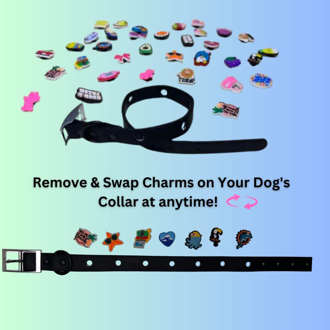 Beach Vibe Charms Dog Collar Bundle - Water Resistant, Stinkproof, Adjustable, XS/Small to XL Dogs