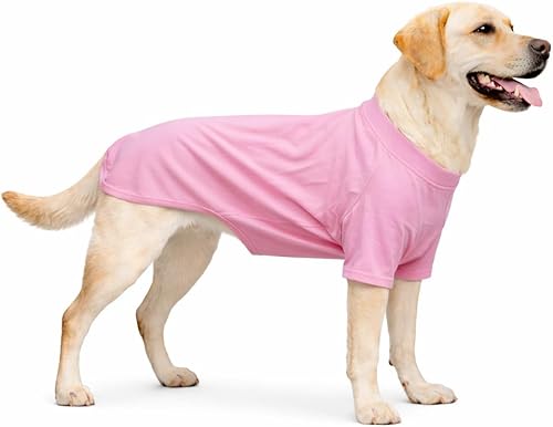 Miniatura 107 de Lovelonglong Ropa para mascotas, disfraces para perro, ropa de perro salchicha, camiseta en blanco para perros salchicha, Corgi 100% algodón, rosa