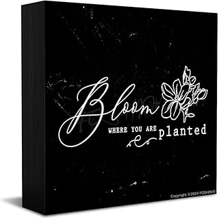 Wood Box Sign Bloom Where You Were Planted Sign Wood Bloom Sign Bloom Wooden Box Sign Desk Decor For Home Office Table Decor 5""X 5""