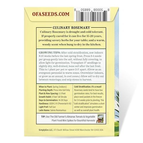 The Old Farmer's Almanac Heirloom Culinary Rosemary Herb Seeds - Premium Non-GMO, Open Pollinated, Drought & Cold Tolerant (1 Packet - 200 MG - Approx 180 Seeds) - Image 3
