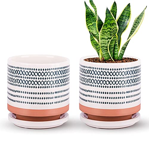 Succulent Pots, Small Flower Pots Indoor, 5 Inch Ceramic Planter Plant Pot with Porcelain Saucer, Drainage Hole for Snake Plants, Jade Plant, Herbs, Prack of 2 Γ’β¬β Plants Not Included Succulent Pots, Small Flower Pots Indoor, 5 Inch Ceramic Planter Plant Pot with Porcelain Saucer, Drainage Hole for Snake Plants, Jade Plant, Herbs, Prack of 2 Γ’β¬β Plants Not Included