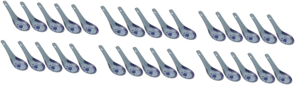 30 Pcs Tablespoon Chinese Soba Hand Painted Spoon Noodle Spoon Ramen Bowl Soup Spoon Soup Spoons Asian Style Spoons Blue and White Porcelain Hand-pulled Noodle Ceramics