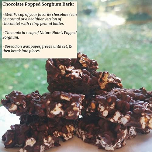 Nature Nate’s Popped Sorghum, Coconut Oil & Pink Himalayan Sea Salt - Organic, Keto & Gluten Free, Healthy Snacks, Better Than Popcorn, Made In Usa - 1.7 Ounce (Pack Of 6) #TOP7