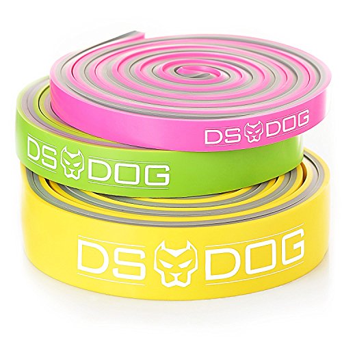 DS DOG Set of 3 Dual Color Resistance Bands - with eGuide Durable Workout Equipment - Compact, Effective and Versatile Latex Exercise Bands for Training at Home, Gym, Outside