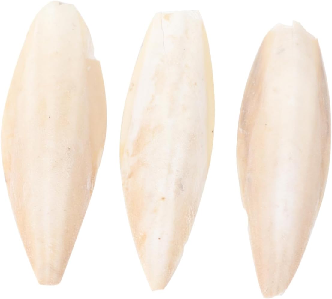 BESPORTBLE 3pcs Parrot Cuttlebone Chewing Toy Calcium Pendant for Bird Molar Training Safe for Pet Birds for Chewing and Grinding Teeth