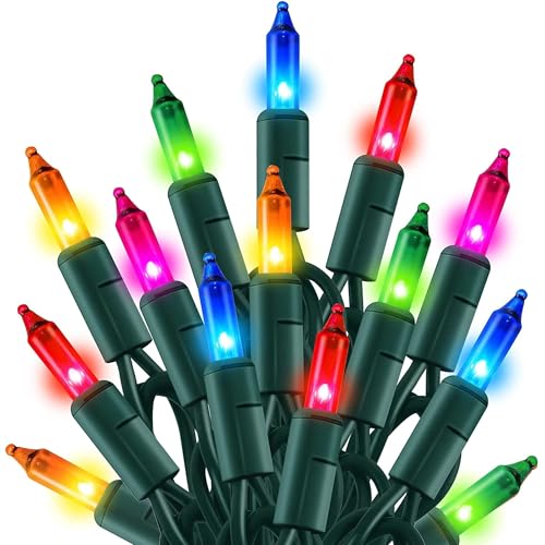 TW SHINE Outdoor Christmas Lights, 20FT 100 Count Christmas String Lights Incandescent, Waterproof Indoor Mini Christmas Tree Lights for Xmas Decorations, Multi Colored