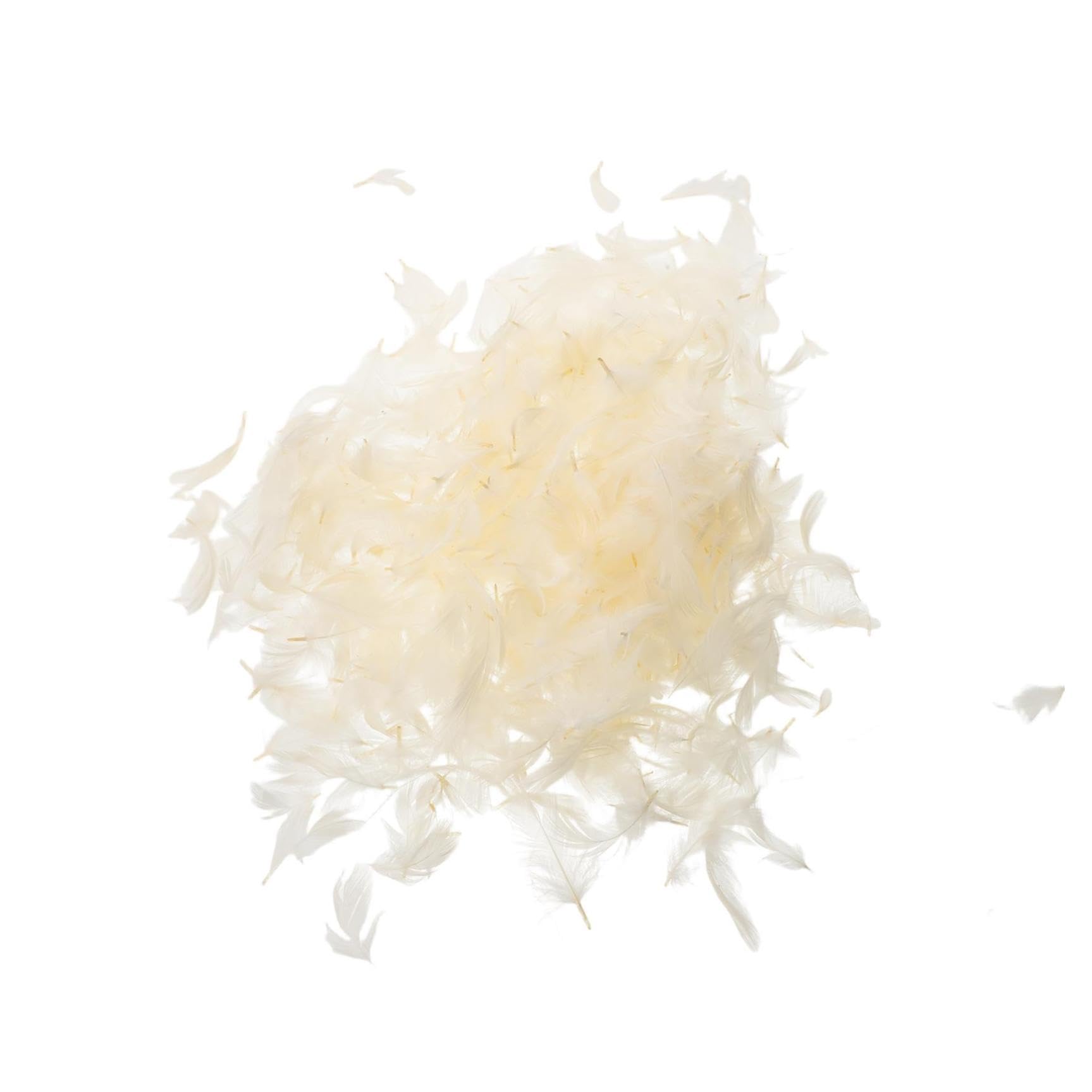 Imbottitura 1kg in Bianca Piuma D'anatra Naturale per Cuscini