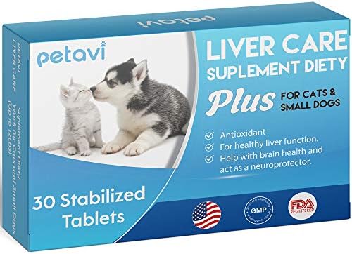 cat walking backpack