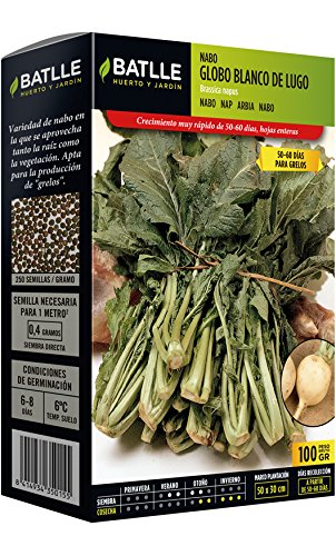Semillas Batlle - Nabo Grelos Blanco De Lugo Caja 100G