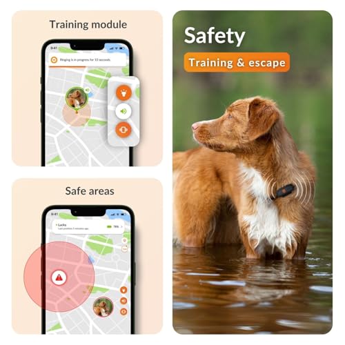 Weenect Dog XS - NEW GPS Tracker for Dogs | Real-time Mini GPS Tracker for Dogs | Waterproof | Smallest model on the market | Operates with a subscription - Image 4