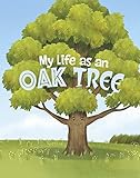 Raintree My Life as an Oak Tree (My Life Cycle).