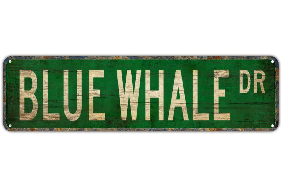 GQWJKSZ Metal Sign BLUE WHALE DR Vintage Signs Retro Tin Signs Art Plaque for Bedroom Kitchen Garden Wall Bar Club Coffee Hanging Sign Home Decor 4x16 Inch