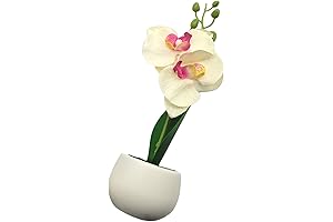 Fridge Magnets Artificial Hanging Plants for Home Decor - Fake Succulents Refrigerator...