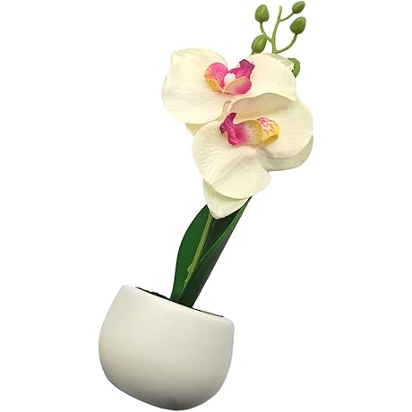 Fridge Magnets Artificial Hanging Plants for Home Decor - Fake Succulents Refrigerator...