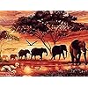 HIMBIU 5D Diamond Painting Kits Volledige Boor Olifant Zonsondergang, Dier Borduurwerk Schilderij Kits Met Diamant…