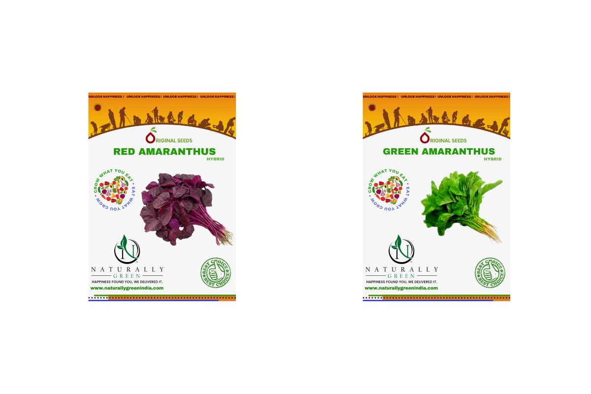Naturally Green Red & Green Amaranthus Hybrid Seeds (Pack of 200 seeds). Ideal for microgreen. Bacteria Wilt Tolerant (BWT). Tolerance to Leaf Curl (TOLC). Non GMO. (B09QJN8CYQ) Amazon Price History, Amazon Price Tracker