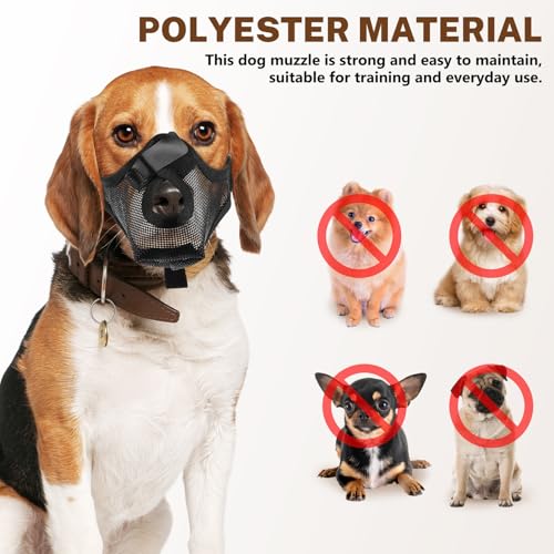 LOORGVEL ���p�\�t�g���b�V������ ���߉\�X�g���b�v�t�� �ʋC���ǍD ���݂��h�~ ���^������ �a�@��U���ł� �Ǘ���