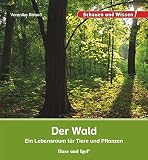 Der Wald: Schauen und Wissen!