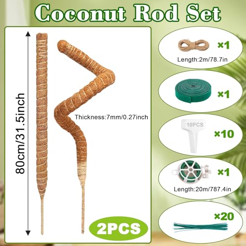 YeahBoom Pack of 2 Moss Sticks for Monstera 80 cm Monstera Trellis - Image 2