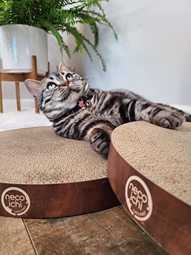 Image of Necoichi Cat Scratcher Bowl Replacement for Indoor Cats - Cat Scratching Lounger with Reversible Usability and Extra Comfort for Lounge, Cardboard Bed Couch / (XL, Dark Cherry)