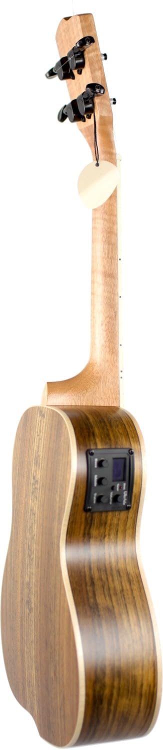 Shape Swing Walnut EQ Ukulélé de concert
