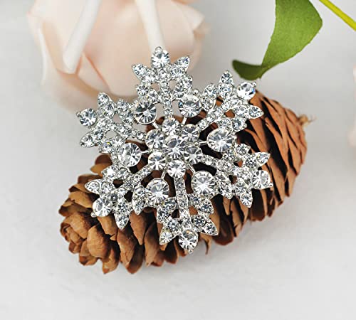 Gyn&Joy Clear Crystal Rhinestone Bright Flower Snowflake Pin Brooch For Women (Silver Tone) #TOP2