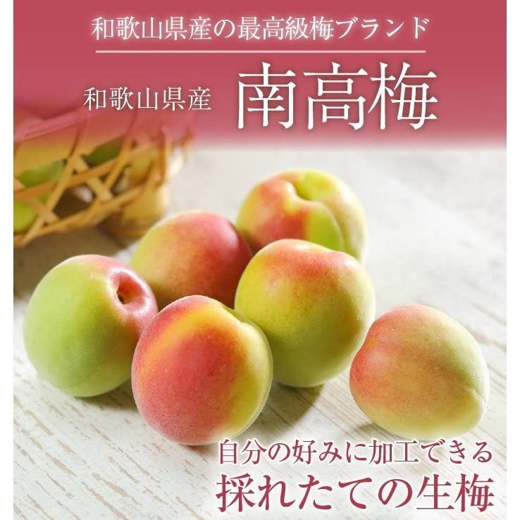 Amazon.co.jp: 梅 紀州 南高梅 和歌山県産 秀品 4Lサイズ 3kg 梅酒用