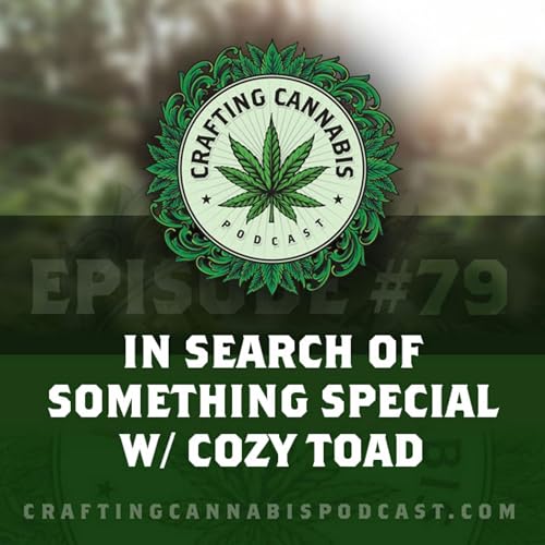 #79 - In Search of Something Special w/ Cozy Toad