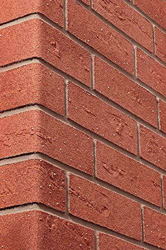 Elastolith, 98388 flexible, rouge brique, 50 x 210 mm