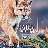 Path of the Puma: The Remarkable Resilience of the Mountain Lion