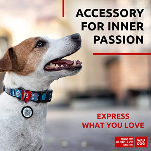 WAUDOG Verstellbares Welpenhalsband für kleine Hunde – Hundehalsband Jungen und Mädchen Nylon-Welpenhalsband Welpenhalsbänder große Rassen (Ethno Blue, 24,5 cm 34,5 Halsumfang)