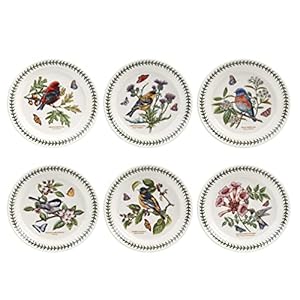 Portmeirion Botanic Garden Birds Collection Salad Plates | Set of 6 Plates 8.5 Inch with Assorted Bird Motifs | Made of Earthenware | Dishwasher and Microwave Safe | Made in England