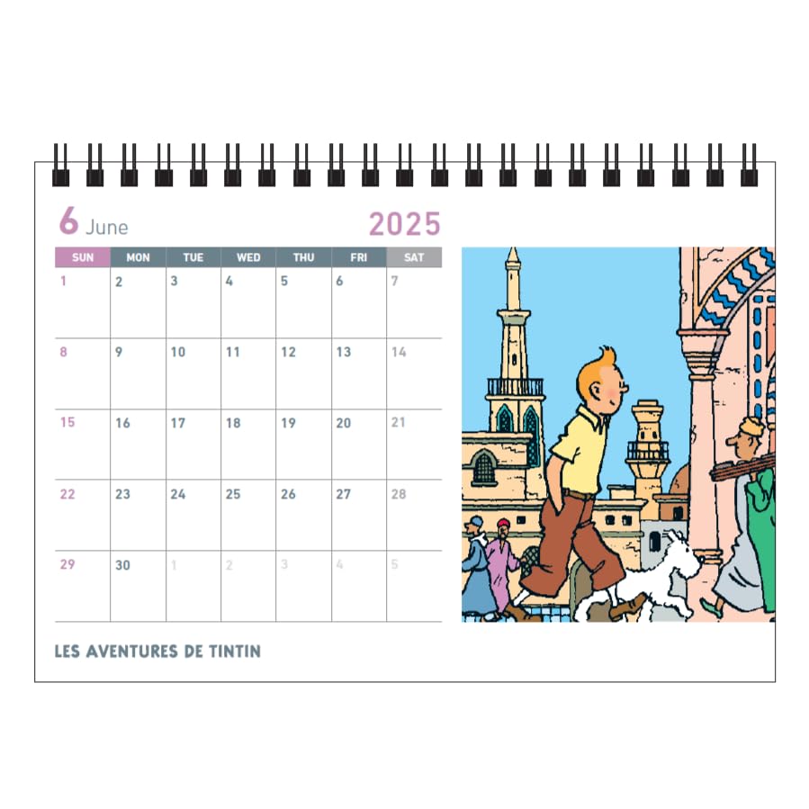 Amazon | 【ネコポス投函】[タンタンの冒険] デスクトップ