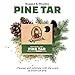 Dr. Squatch Natural Bar Soap for Men - Cold Process Soap with No Harsh Chemicals - Pine Tar (5 oz, 3-Pack)