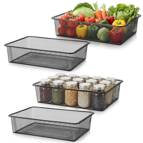 Teecyhooo 4 Pcs Metal Wire Basket Metal Mesh Basket Pantry