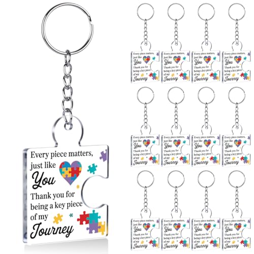 Thank You Gift Friendship Gifts Bulk for Friends Set of 12 Appreciation Gifts for Team Coworkers Employee Staff Teachers Nurse Volunteer Teens Every Piece Matters Acrylic Puzzle Piece Keychains