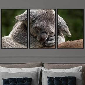signwin 3 Piece Framed Canvas Wall Art Cuddle...