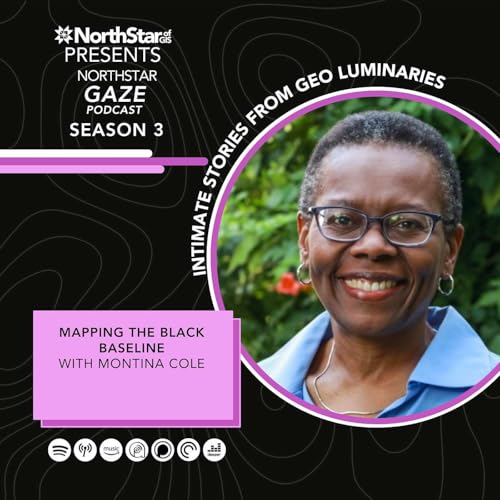Mapping the Black Baseline: Environmental Justice, Pipelines, and Regulatory Power with Montina Cole