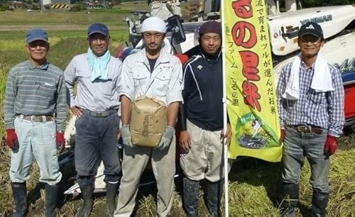 yt@[̗z̗āEЂƂ߂ڂTiājyRzyszyGRTOFؕāzy_͔|zyYҒlz