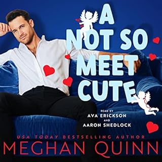 A Not So Meet Cute Audiobook By Meghan Quinn cover art