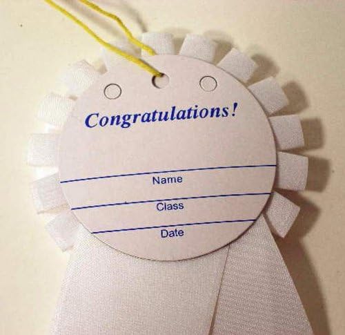Rosette Award Ribbon Set - One each: 1st, 2nd, 3rd, 4th, 5th {5 total ribbons}