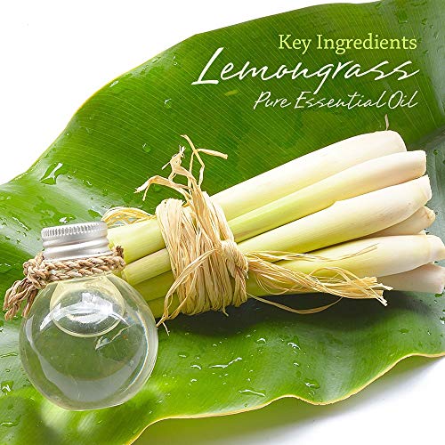 I & Candle, Aromatherapy Soy Wax Scented Candles (Lemongrass) #TOP2