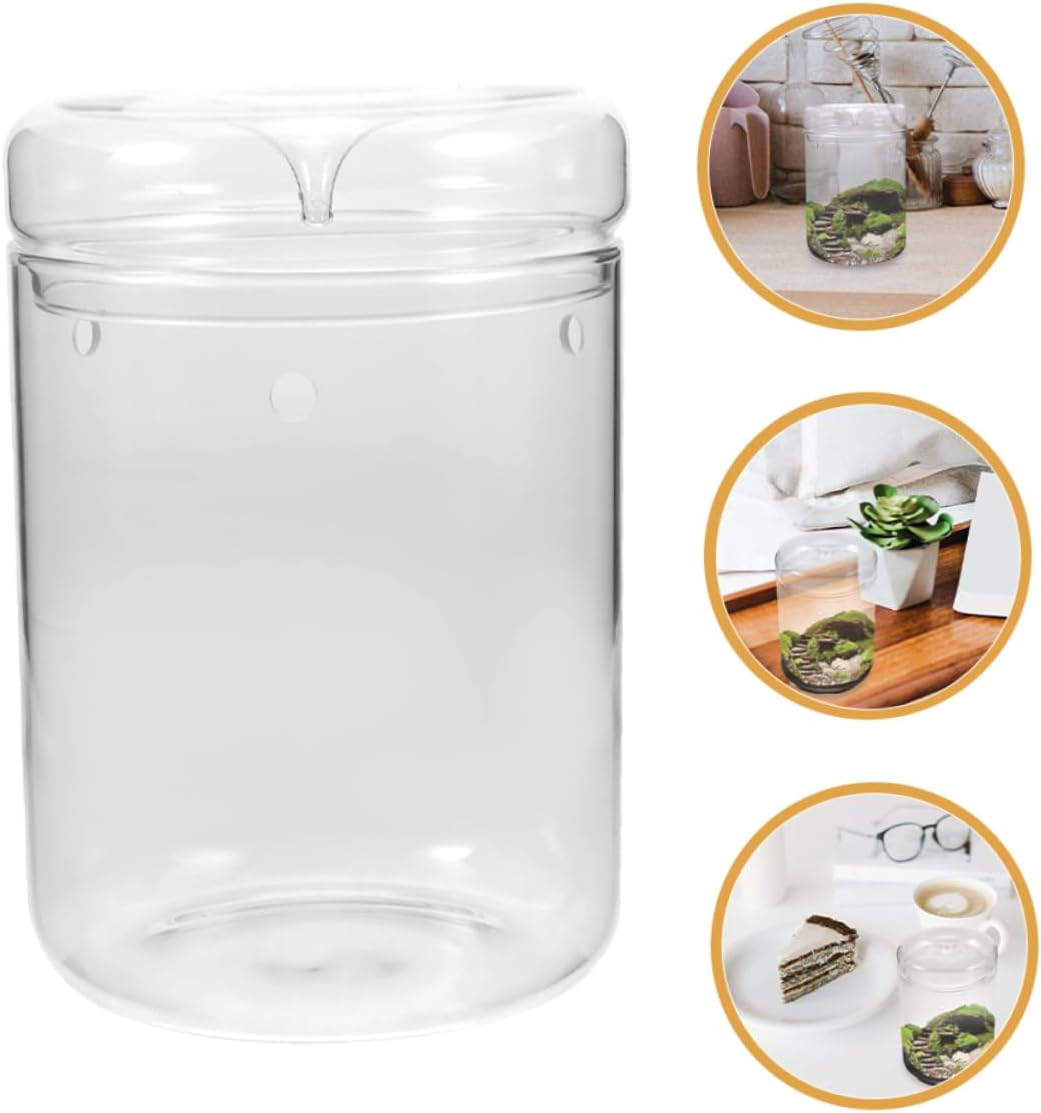 Terrarium Glass Container DIY Bottle Plant Stand Eco-Friendly Vase for House Plant Bohemian Decor