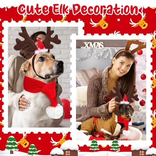 Set de disfraces navideños Sadnyy para perros pequeños y medianos miniatura 5
