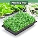 Sckee Upgraded 10 Pack Plant Growing Trays Seed Starting Tray Microgreens Growing Trays Seedling Plant Germination Starter Tray Transplant Fodder Flats, No Holes, No Leakage, Reusable (1017)