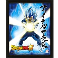 Pyramid International Cadre Lenticulaire 3D Dragon Ball Z Piccolo - Effet Mouvement Officiel