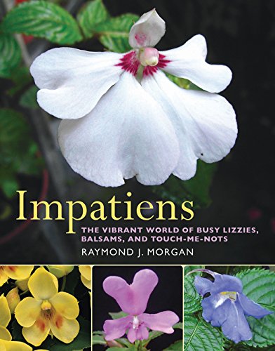 Impatiens: The Vibrant World of Busy Lizzies, Balsams, and Touch-me-nots Impatiens: The Vibrant World of Busy Lizzies, Balsams, and Touch-me-nots